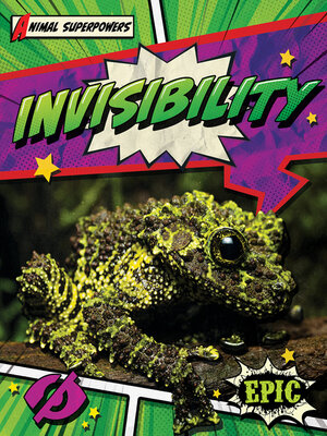 cover image of Invisibility
